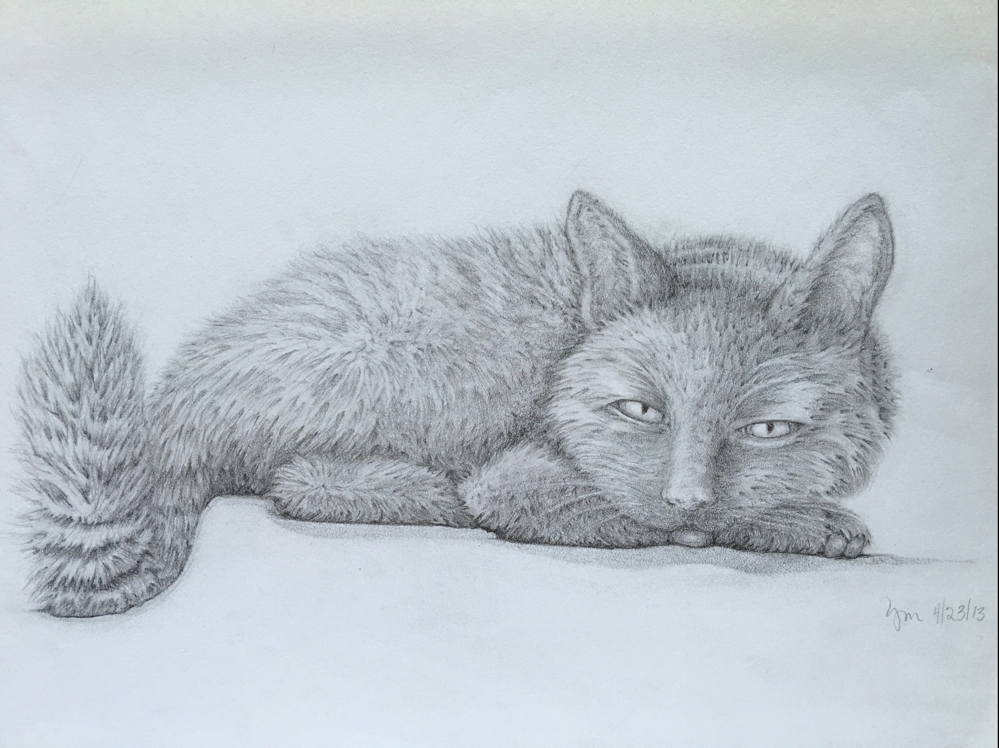 Cat 4/23/2014