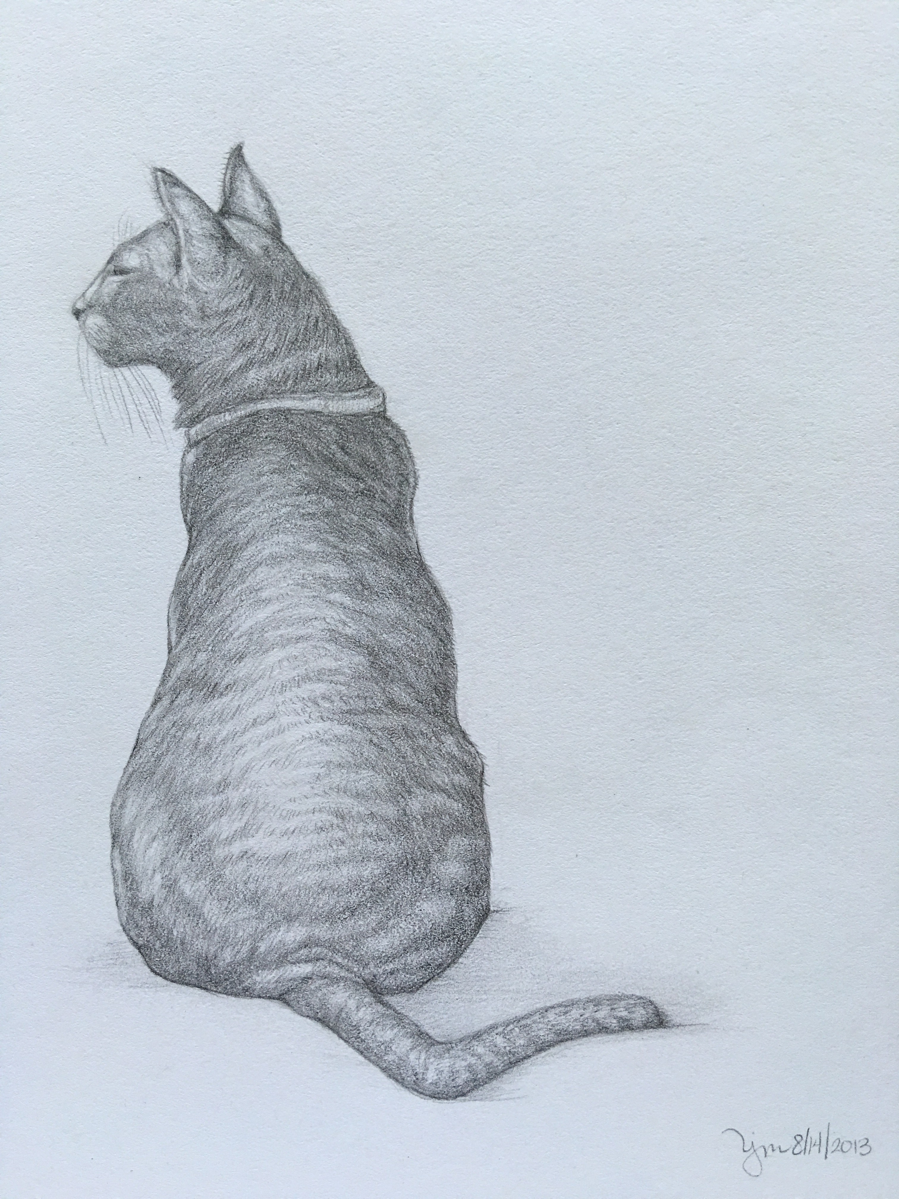 Meow 8/4/2013