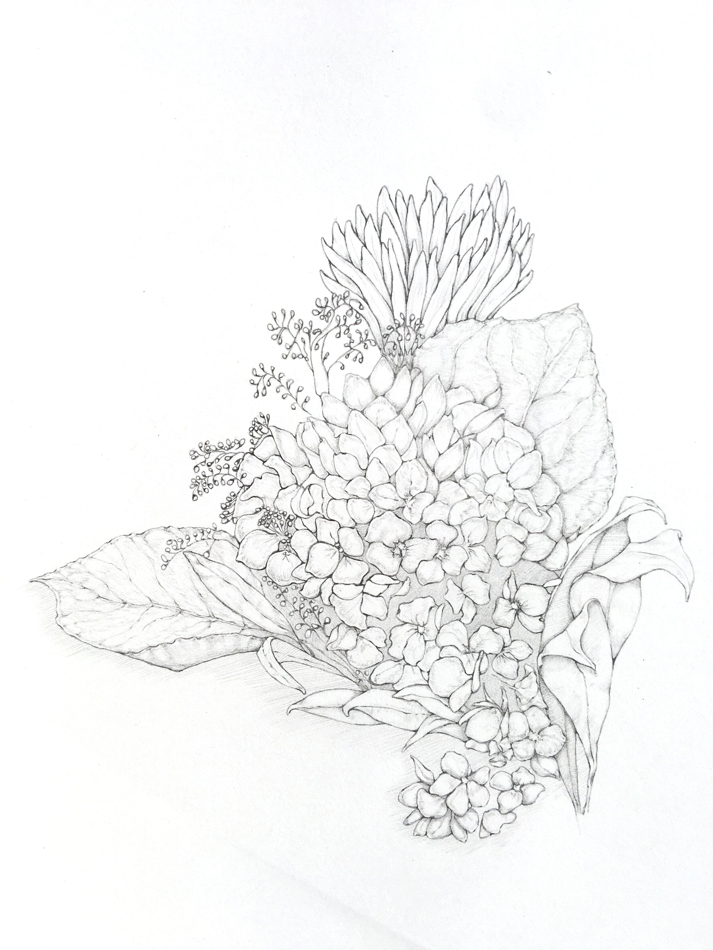 Social+Isolation+Flowers