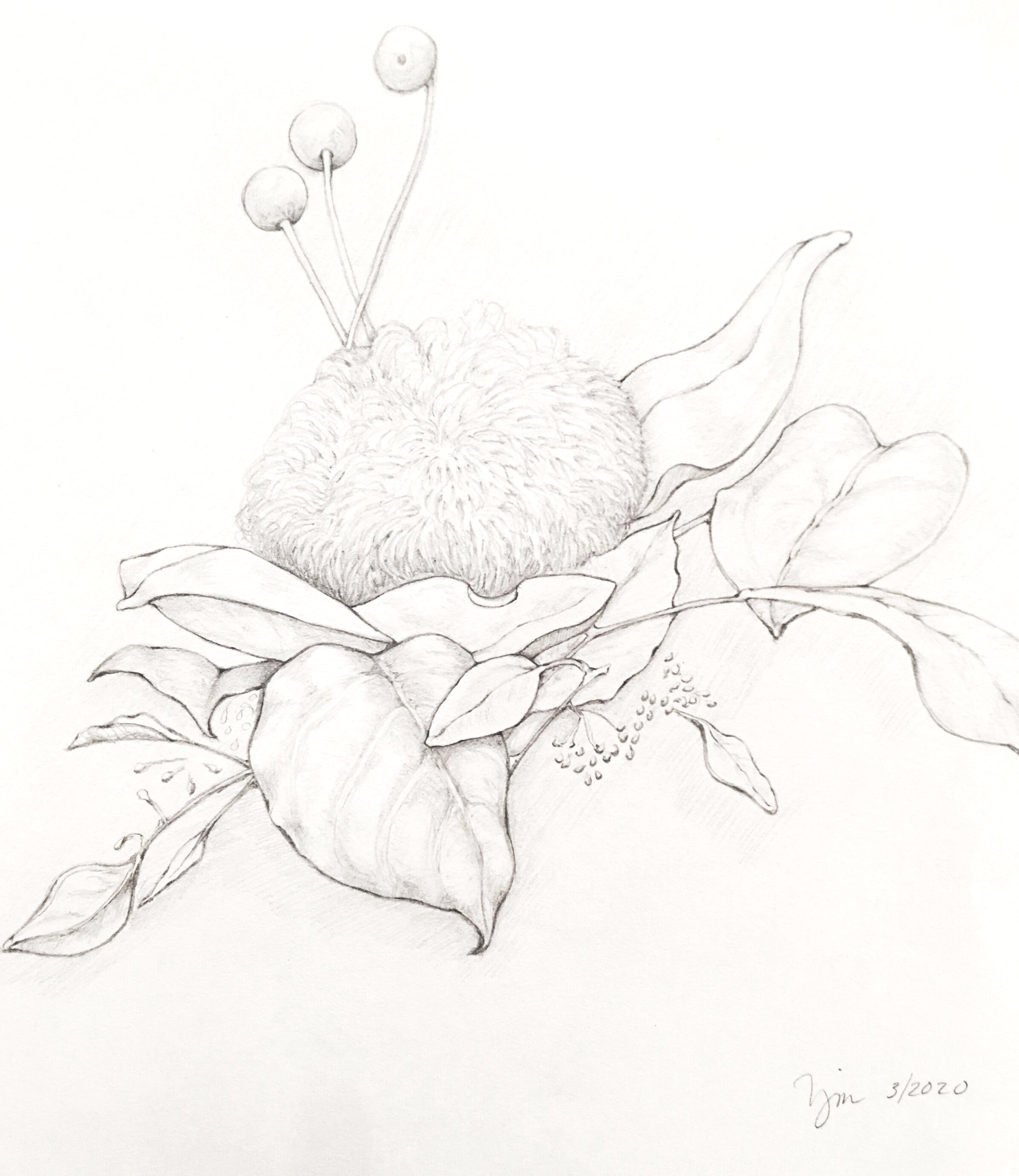 Social Isolation Flowers #4