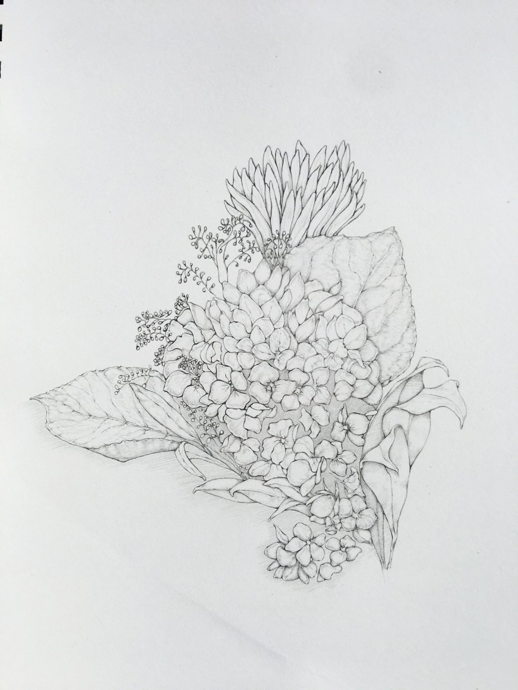 The Social Isolation Flowers Series